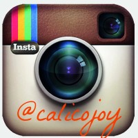 Follow @calicojoy on Instagram!