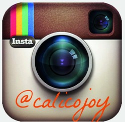 Follow @calicojoy on Instagram!